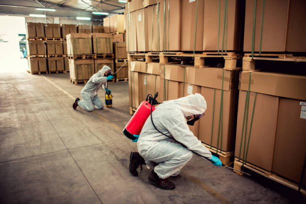 Flea Control Services in Taylorsville, NC