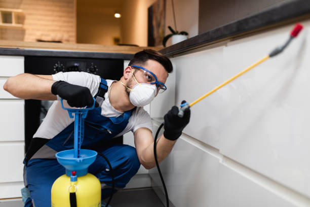 Best Pest Control Near Me  in Taylorsville, NC