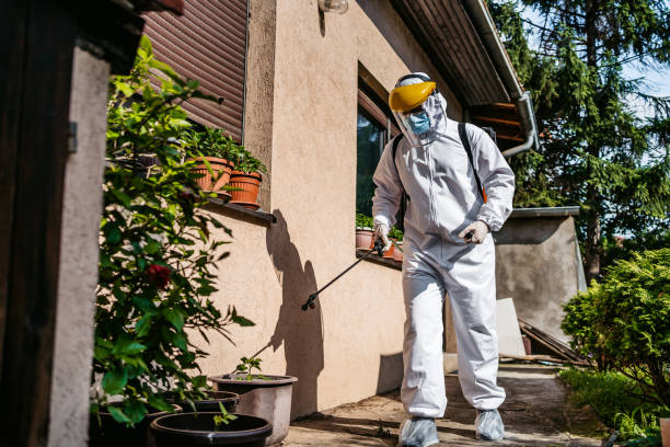 Best Mosquito Control Services  in Taylorsville, NC