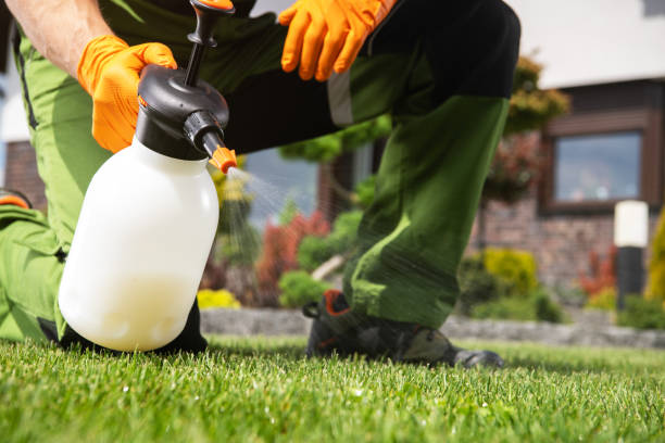 Best Commercial Pest Control Services  in Taylorsville, NC