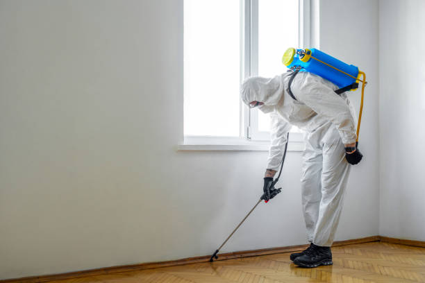 Wasp Removal Services in Taylorsville, NC