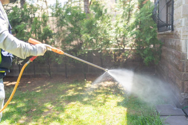 Best Pest Inspection Near Me  in Taylorsville, NC