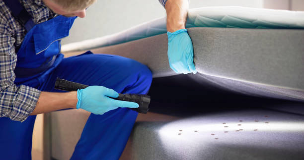 Best Flea Control Services  in Taylorsville, NC