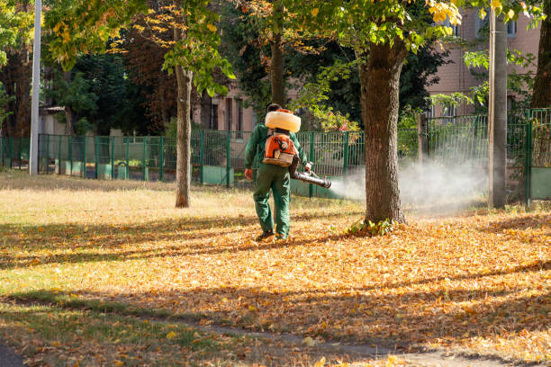 Taylorsville, NC Pest Control Company
