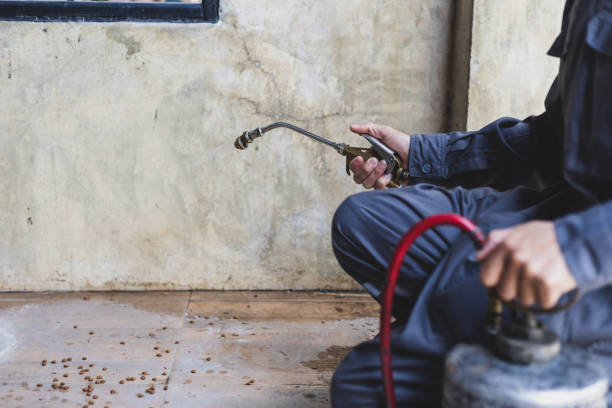 Best Residential Pest Control  in Taylorsville, NC